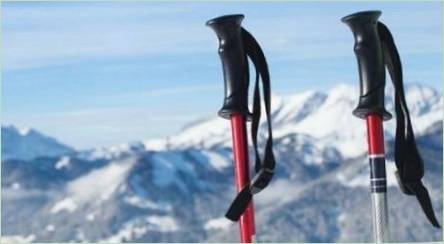 Aké sú lyžiarske tyčinky a ako si vybrať?