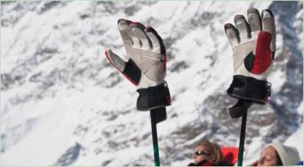 Popis a výber lyžiarskych rukavíc