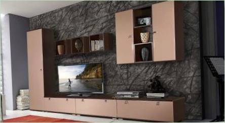 Šatník v obývacej izbe v televízii: druhy, výber a umiestnenie tipy