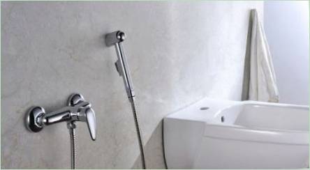 Hygienická sprcha s mixérom: odrody, značky a výber
