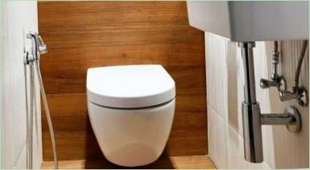Laminát na WC: Pros a nevýhody, výber, príklady konečnej úpravy