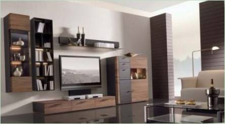Modulárny nábytok v modernom štýle pre obývaciu izbu: Druhy a tipy na výber