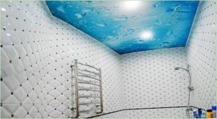 Pozastavené stropy v kúpeľni: Vlastnosti, odrody, dizajn