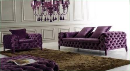 Purple Sofas: Typy a výber interiéru