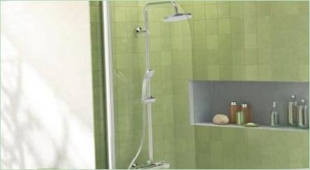 Sprchové regály s miešačom: Čo sú a ako si vybrať?