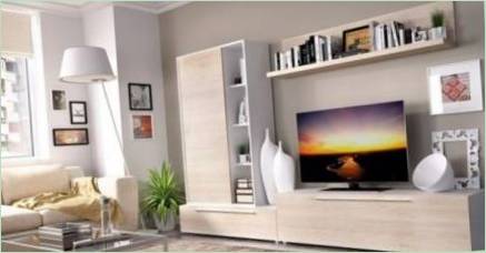 Steny pod TV v obývacej izbe: odrody a odporúčania na výber