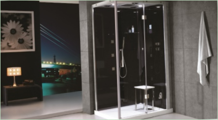 Strešné sprchové kabíny: Druhý opis a výber