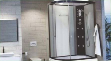 Vlastnosti sprchovej kabíny Veľkosť 120x80 cm a prehľad populárnych modelov