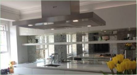 Zrkadlová zástera pre kuchyňu: Vlastnosti, odrody, výber a starostlivosť