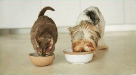 Animonda Feed pre mačky a psov