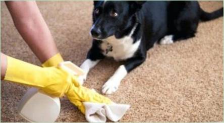 Antigadin pre psov: Druhy finančných prostriedkov a pravidlá voľby