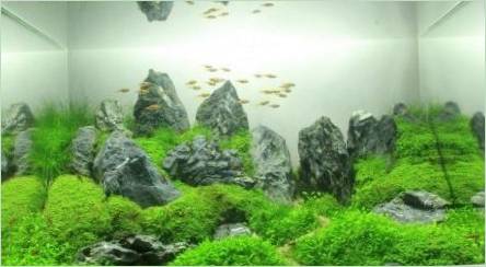 Aquarium Design o 100 litrov