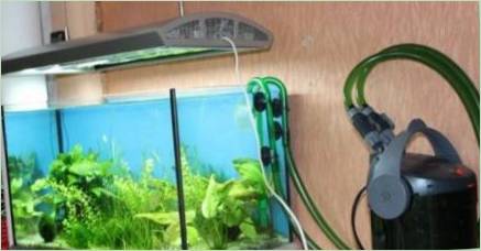 Externé filtre pre akvária: zariadenie, výber a inštalácia