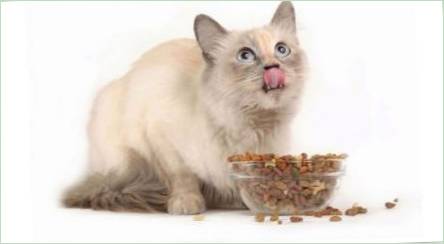 Food holistický pre sterilizované mačky