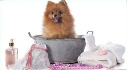 Je možné umyť psa ľudským šampónom?