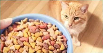 Porovnanie krmiva mačky: triedy, skladby, značky