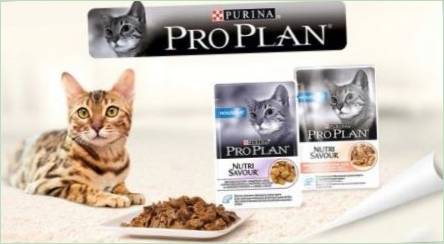 Prehľad mokrých krmív pre mačky a mačky Purina Pro
