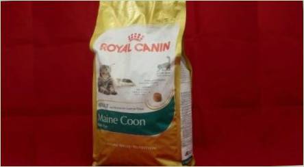 Royal Canin pre Cats Maine-Kun Breed