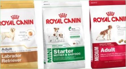 ROYAL CANIN pre psy Krmivo