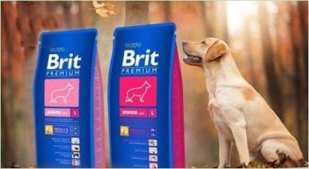 Rozmanitosť suchého krmiva psa Brit