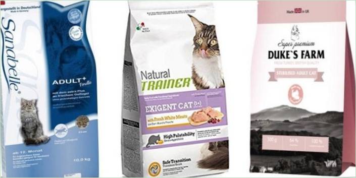 Super Premium Cat Feed: Popis, značky, Predajné tipy