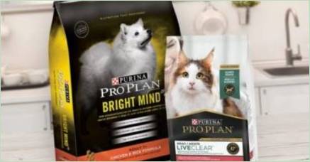 Všetko o Feed Purina Pro Plan