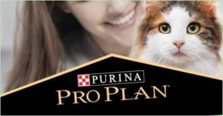 Všetko o suchých kanáloch pre mačky a mačky Purina Pro