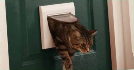 Vyberte si dvere na toaletu pre mačku