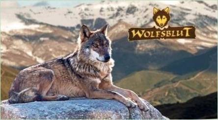 WolfsBlut Dog Feed Review ( Wolf Blood )