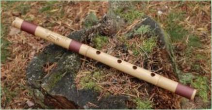 Všetky informácie o japonskej flauty