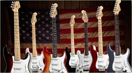 Forder Stratocaster Guitar Review