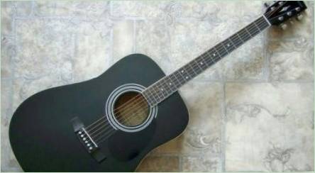 Parkwood Guitar Model