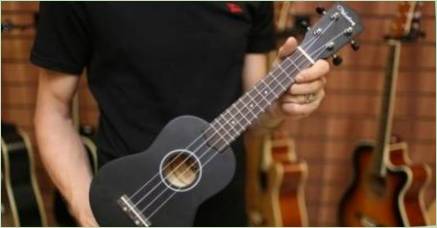 Všetko o gitary a ukulele Veston
