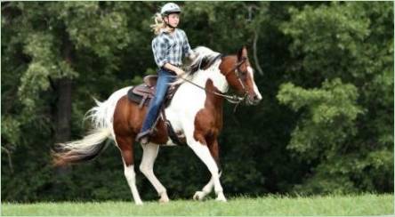 Jazda na koni: Výhody, nevýhody a základné odporúčania