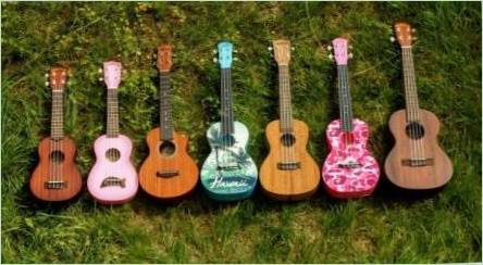 Čo je ukulele a ako si vybrať nástroj?