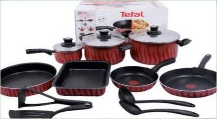 TEFAL CARSE: RALŠIA MODELOV