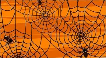 Ako a od toho, čo pavúk a web na Halloween?