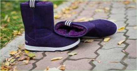 Uggs Adidas