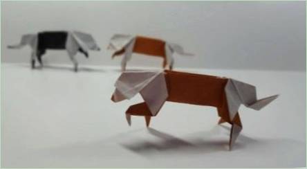 Ako vyrobiť origami v podobe psa?