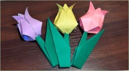 Nápady skladania origami z farebného papiera