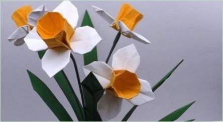 Origami vo forme Daffodies