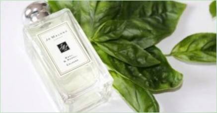 Dámske zelené príchute v parfumérii