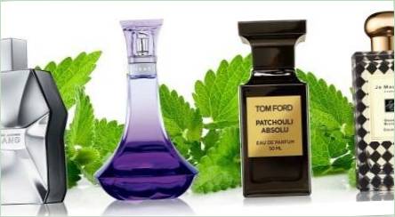 Fragrance Patchouli v parfumérii