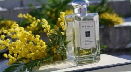 Parfum s mimosa vône