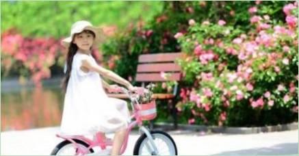 Bicykel pre dievčatá: Druhy a výber