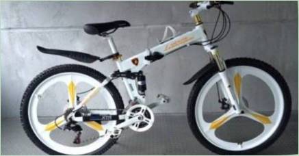 Bicykle Lamborghini: Plôšľa, nevýhody a model