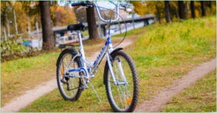 Bicykle stelizuje: Pros a nevýhody, odrody a tipy na výber