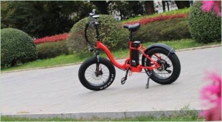 Detské elektrické bicykle: odrody, značky, voľba, pravidlá použitia