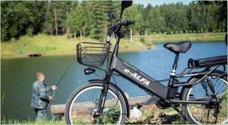 Elektrické bicykle: Odrody, Značky, výber