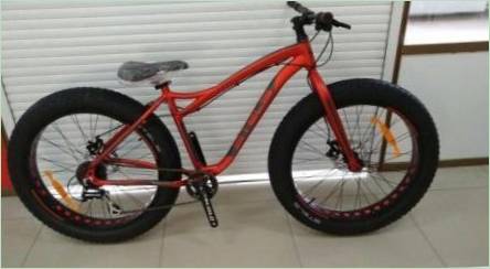 Fatbike Stels: Prehľad modelov a tipov pre výber